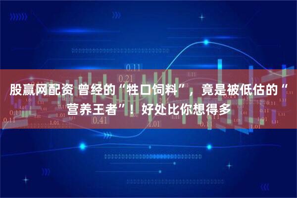 股赢网配资 曾经的“牲口饲料”，竟是被低估的“营养王者”！好处比你想得多