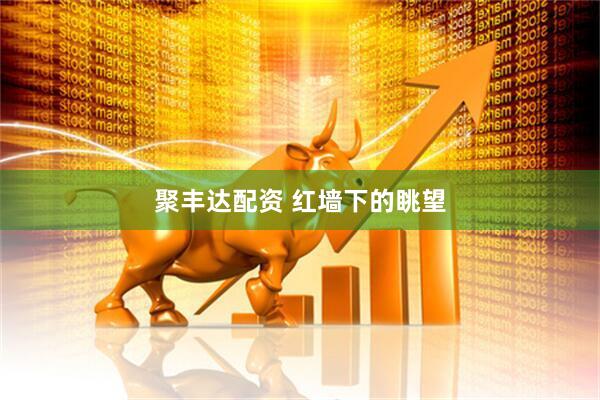 聚丰达配资 红墙下的眺望