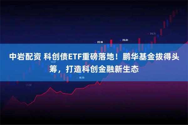 中岩配资 科创债ETF重磅落地！鹏华基金拔得头筹，打造科创金融新生态